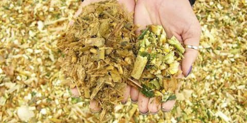 Chuẩn bị nguyên liệu và dụng cụ