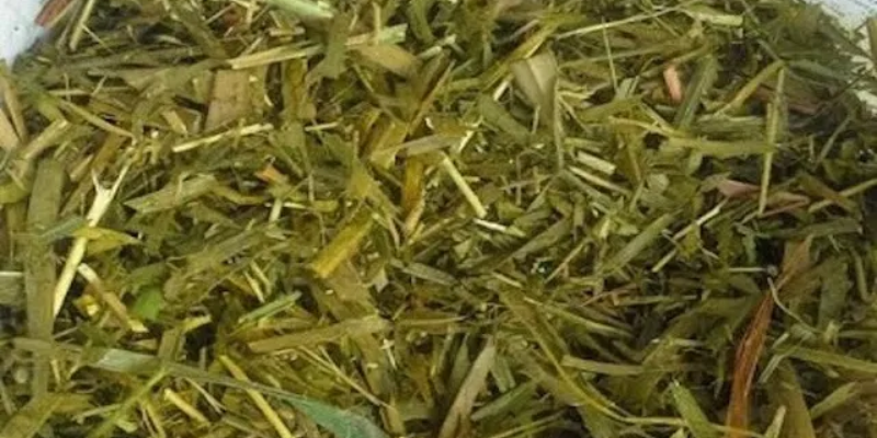 Lịch cho ăn, phối trộn và theo dõi sức khỏe